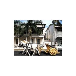 Chariot of the Olympics 2000 debut